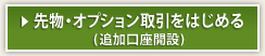 �敨�E�I�v�V����������͂��߂�(�ǉ������J��)