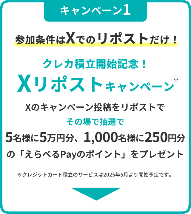 キャンペーン1