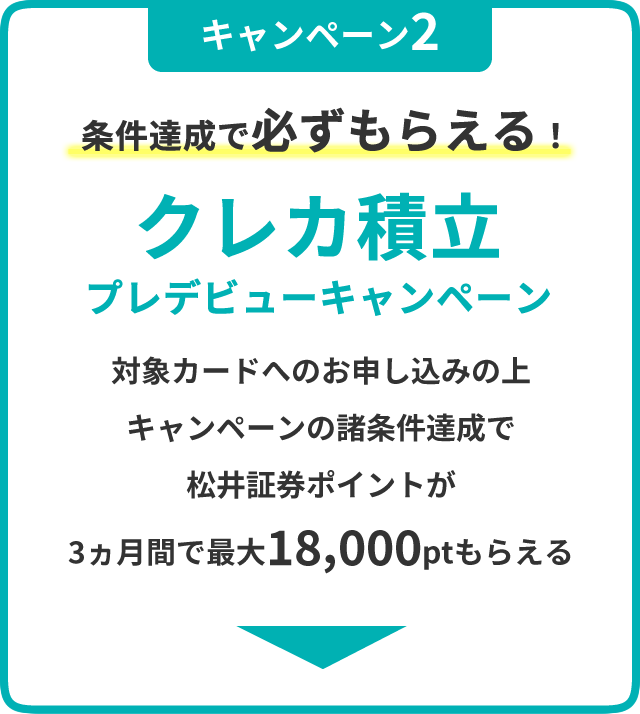 キャンペーン2