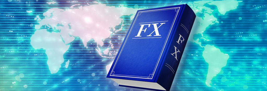 FXの解説書