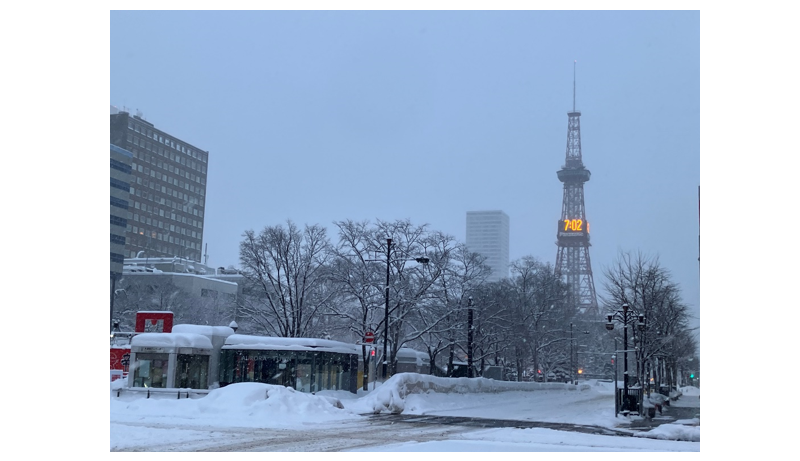 家計の金融資産構成（日米欧比較）