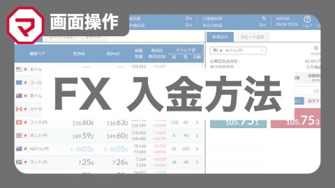 MATSUI FX 入金方法