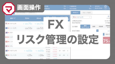 MATSUI FX リスク管理の設定～レバレッジ・ロスカット～