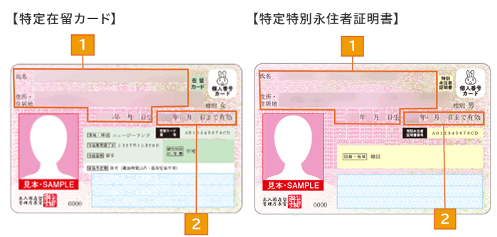 左【特定在留カード】、右【特定特別永住者証明書】